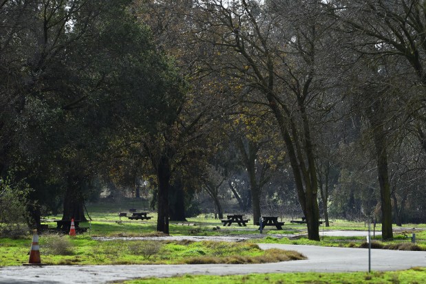 View of the Cottonwood Campground area at the Brannan Island State Recreation Area in Rio Vista, Calif., on Friday, Jan. 6, 2023. Brannan Island State Recreation Area is approximately 330 acres and offers over 150 camp sites. (Jose Carlos Fajardo/Bay Area News Group)
