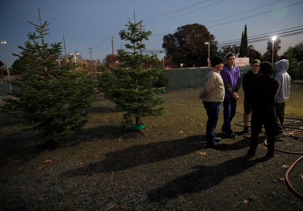 Boy Scouts from Troop 152 wait for customers on a Christmas tree lot at St. Anthony's Catholic Church in Oakley, Calif., on Tuesday, Dec. 13, 2022. Troop 152 is again selling fresh noble, grand and Douglas fir Christmas trees and wreaths to help raise money for scouting activities. They will also deliver the trees, which can be preordered. (Jane Tyska/Bay Area News Group)