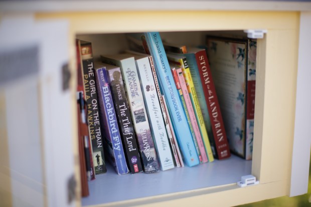 The books inside Rynn Boyden's Little Free Library in Pleasanton, Calif., on Nov. 10, 2022. (Dai Sugano/Bay Area News Group)
