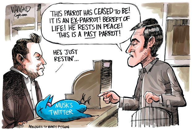 Musk's Twitter by Dave Whamond, Canada, PoliticalCartoons.com