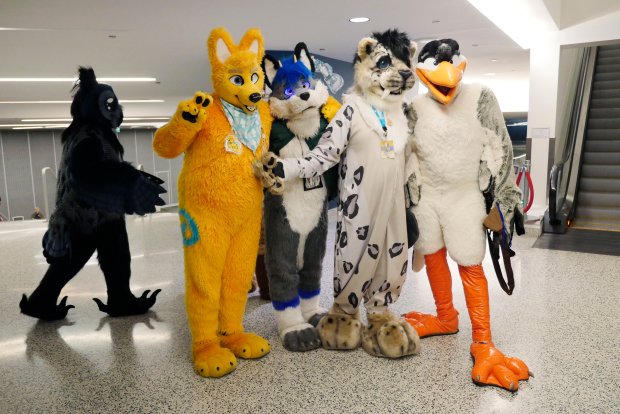 Furry friends gather during Further Confusion at the San Jose McEnry Convention Center Friday, Jan. 13, 2017, in San Jose, Calif. (Jim Gensheimer/Bay Area News Group)