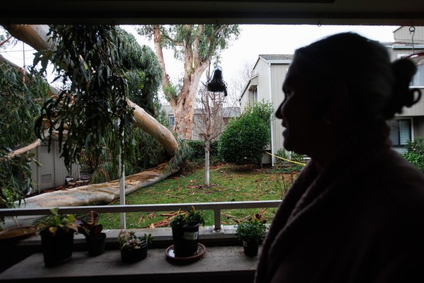 One day after a tall eucalyptus tree fell onto the condo unit above her home, Linda Simi-Ormonde recounts the early Tuesday morning incident during an interview on Jan. 11, 2023, in San Jose, Calif. (Dai Sugano/Bay Area News Group)