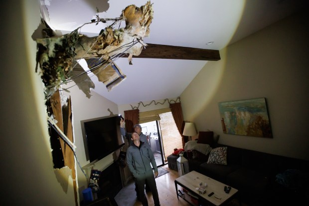 Eric Kirchick, left, and his father-in-law, Walter Chetner, survey on Wednesday Jan. 11, 2023, the damage in the living room caused by a tall eucalyptus tree that fell onto Kirchick's condo unit on early Tuesday morning, in San Jose, Calif. The tree caused significant damage to one of the bedrooms and a part of the tree is now sticking out into the living room. (Dai Sugano/Bay Area News Group)