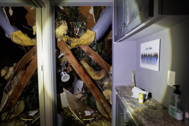 On early Tuesday morning, a tall eucalyptus tree fell onto a condo unit of a San Jose couple Lauren and Eric Kirchick causing siginificant damage to one of their bedrooms seen in this picture taken on Wednesday, Jan. 11, 2023. (Dai Sugano/Bay Area News Group)