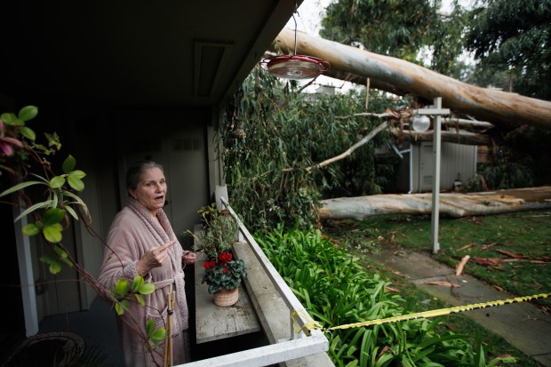 One day after a tall eucalyptus tree fell onto the condo unit above her home, Linda Simi-Ormonde recounts the early Tuesday morning incident and expresses her concern for the Kirchicks' well being during an interview on Jan. 11, 2023, in San Jose, Calif. (Dai Sugano/Bay Area News Group)