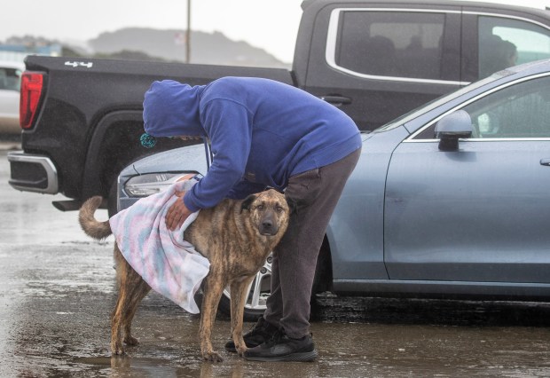 Larry Sims and his dog Adobo dry off after a short, soggy walk at Sloat Beach in San Francisco, Calif., Wednesday, Jan. 4, 2023. The two were getting stir crazy at home and decided to brave the elements during a break in the storms. (Karl Mondon/Bay Area News Group)