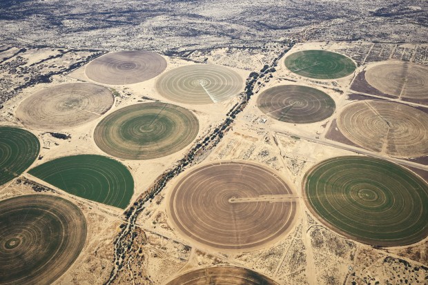 Crop circles are seen from the air on Oct. 24, 2022, near Dateland, Arizona. Agriculture in Arizona holds some of the most senior water rights to Colorado River water in the basin. The flight for aerial photography was provided by LightHawk. (Photo by RJ Sangosti/The Denver Post)
